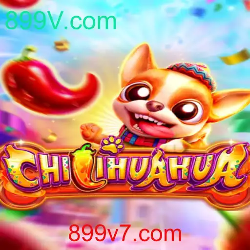 Descubra CHILIHUAHUA: O Jogo Empolgante que Está Dominando 899V.com