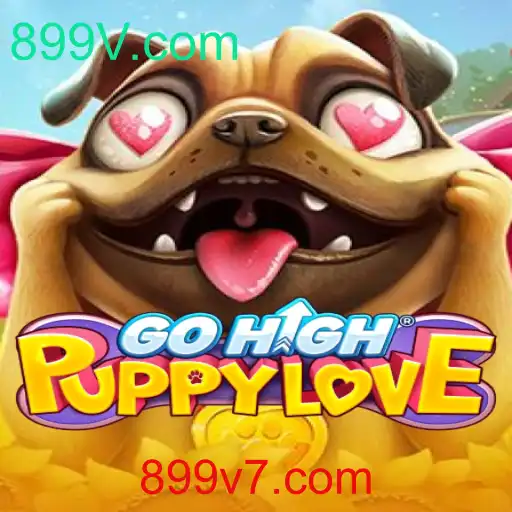 GoHighPuppyLove: Um Jogo Inovador para os Amantes de Animais